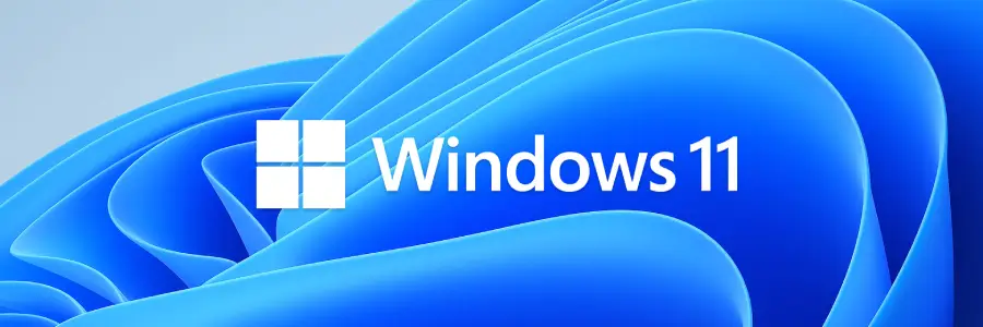 win11专业版账户设置找不到”使用本地账户登录“时修改本地账户的方法